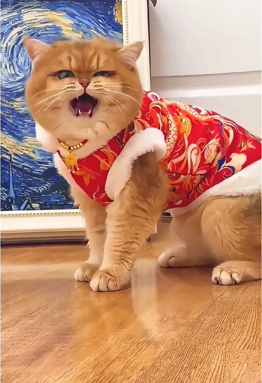 เจ้าอารมณ์ร้าย ใครจะทนได้#cat #pet #petcats #cutecat #cute #tiktok #fyp #foryou #catvideos #catsoftiktok #funny #funnycat #funnyanimals 