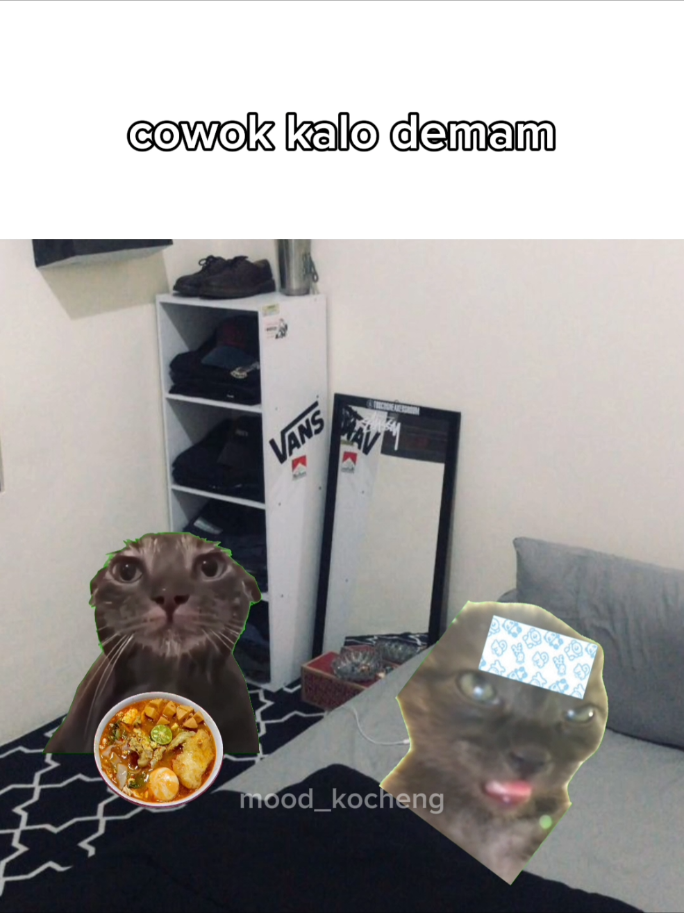 #memekucing 