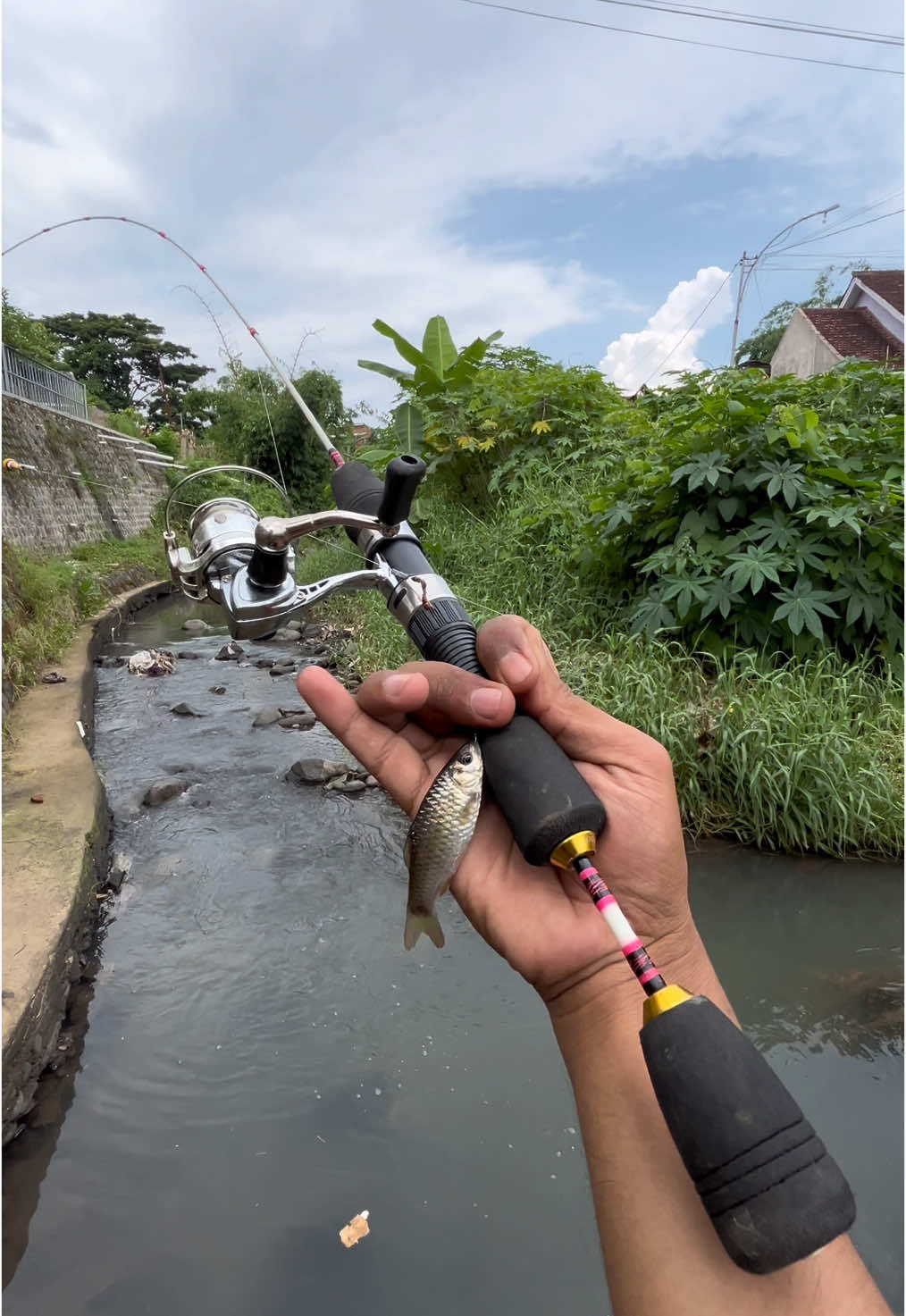 mancing wader di bawah batu dapet babon 😁 #mancing #fishing #fishingtiktoks #microfishing #microfishingindonesia #mancingwader #fyppppppppppppppppppppppp #microfishingindonesiaboncos #joranwader #mancingmaniamantap #fypage #mancingdisungai #tren #wader #spotwader 