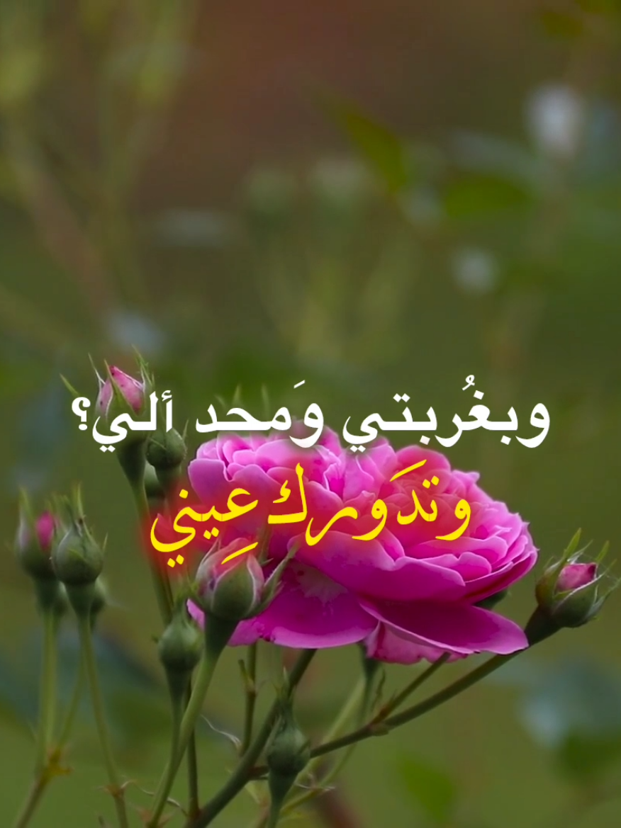 وبغربتي ومحد الي؟ #قصيده#باسم_الكربلائي#لطميه #قصائد_حزينه #وبغربتي_ومحد_الي 