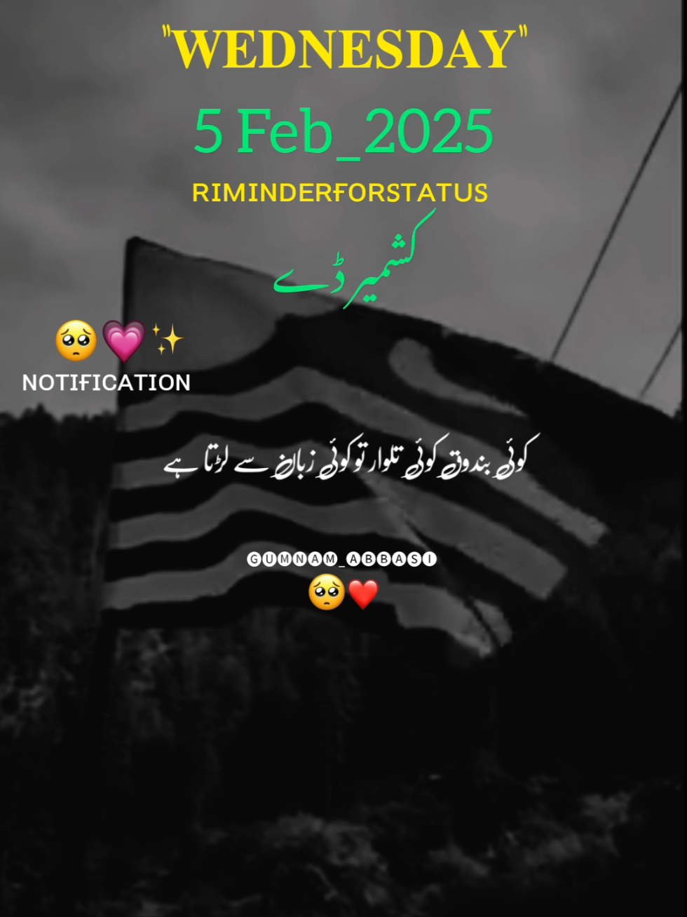 5 𝗙𝗲𝗯𝗿𝘂𝗮𝗿𝘆 𝗞𝗮𝘀𝗵𝗺𝗶𝗿 𝗗𝗮𝘆 🇵🇰🥲🤍#gumnam_abbasi #standwithkashmir #unfrezzmyaccount #trendingvideo #buran_tv #foryoupage #Allah #islamic_video #viralvideo @TikTok 