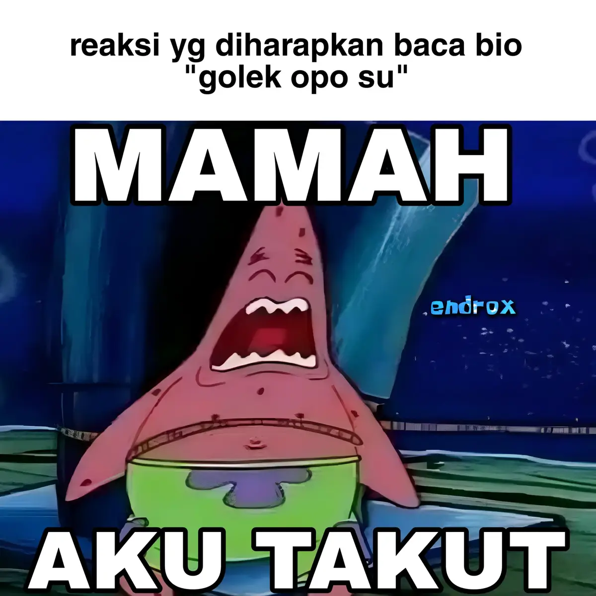 jangan galak2 bang😱