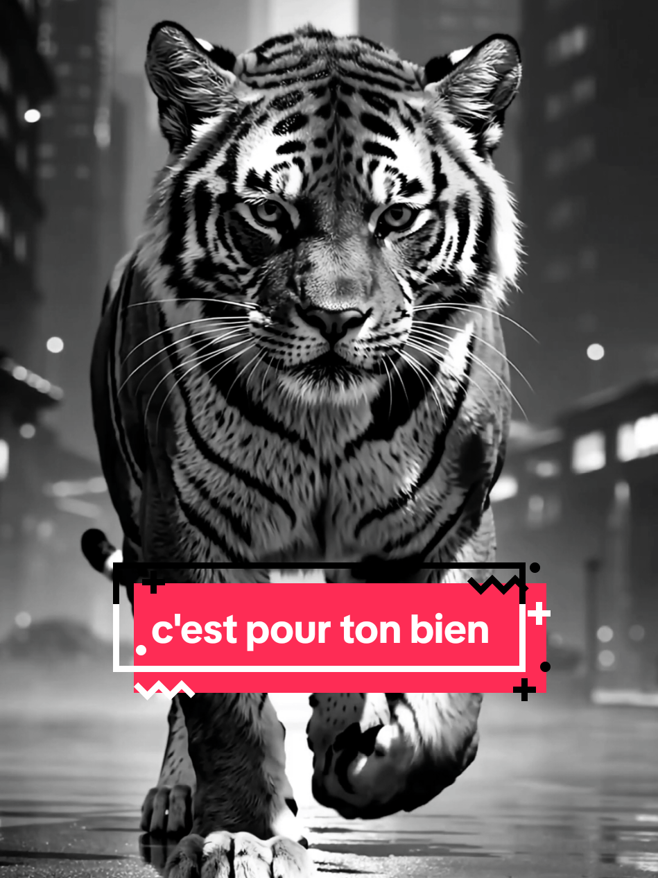 Je veux pas monter mon autre visage #tiger #lion #tiktokfrance🇨🇵 ##capcut_edit #conseil #viral_video #motivation #citation #dangerous 