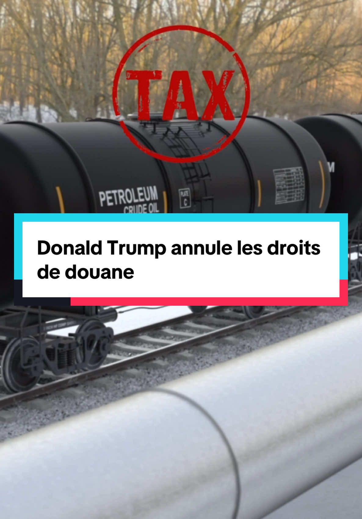 🚨 Trump fait marcher arrière en annulant les droits de douane contre le Mexique et le Canada  Cette vidéo est soutenue par @Zonebourse  #finance #france #information #economie #actualité #politique #ApprendreSurTiktok 