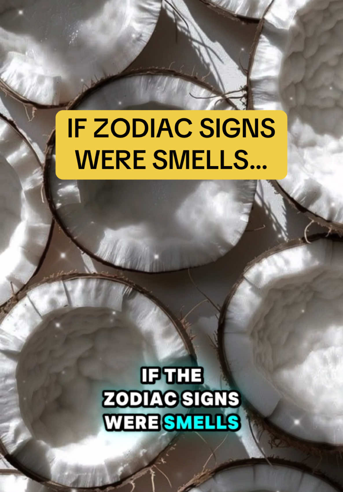 Zodiac signs as smells 🌸🌸 Zodiac signs  #zodiac #zodiacsigns #zodiacsign #zodiactiktok #zodiacfacts 