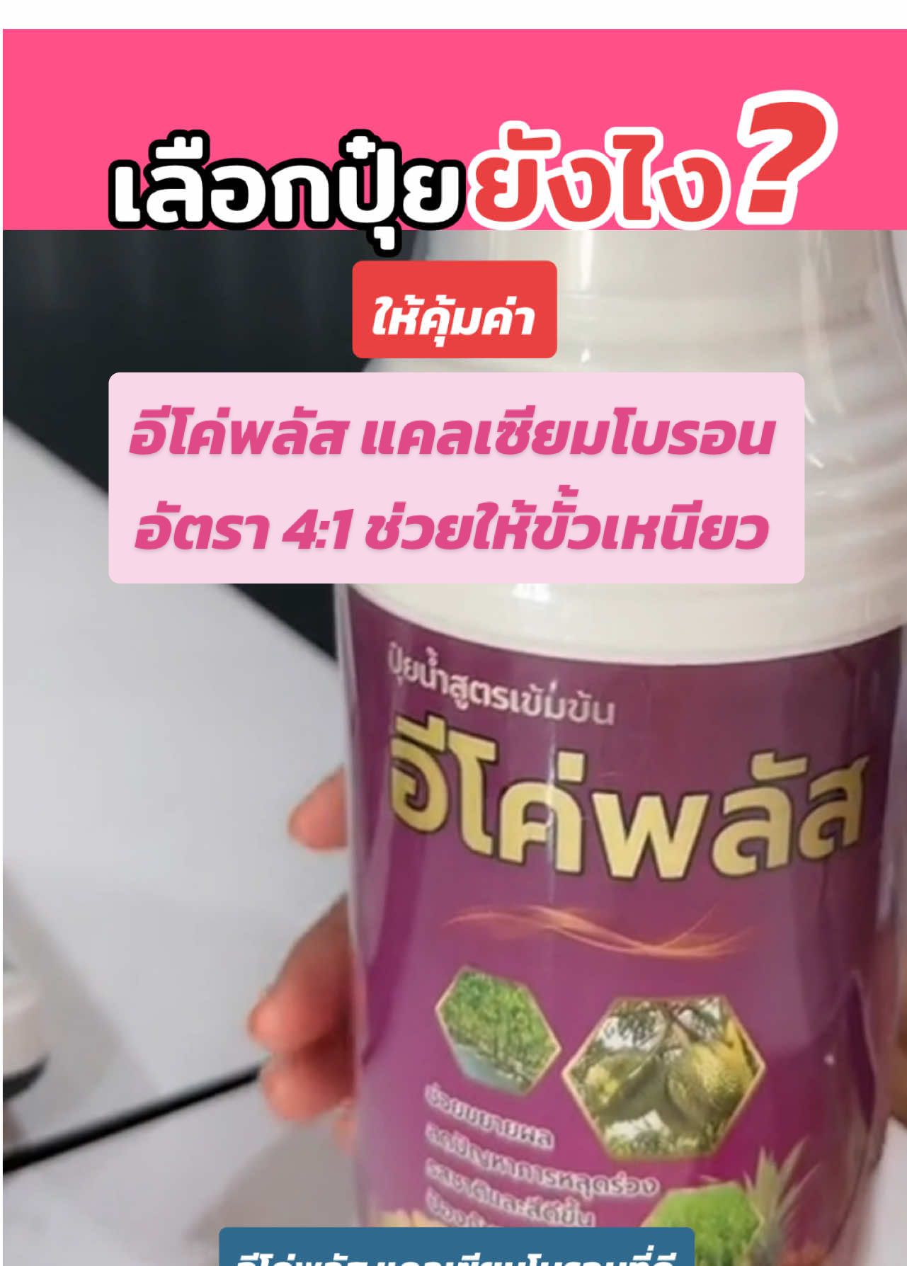 อีโค่พลัส แคลเซียมโบรอน อัตรา 4:1 ช่วยให้ขั้วเหนียว ลดการหลุดร่วงของดอกและผล #อีโค่พลัส #แคลเซียมโบรอน #ป้องกันผลแตก #ขั้วเหนียว #ดอกดก #ผสมเกสร #บ้านเราสวนเกษตรกรุ๊ป #บ้านเราสวนเกษตร @เกษตรบ้านทุ่ง @พอเพียงสวนเกษตร  @บ้านเราสวนเกษตร  @บ้านเราสวนเกษตร  @บ้านเราสวนเกษตร 