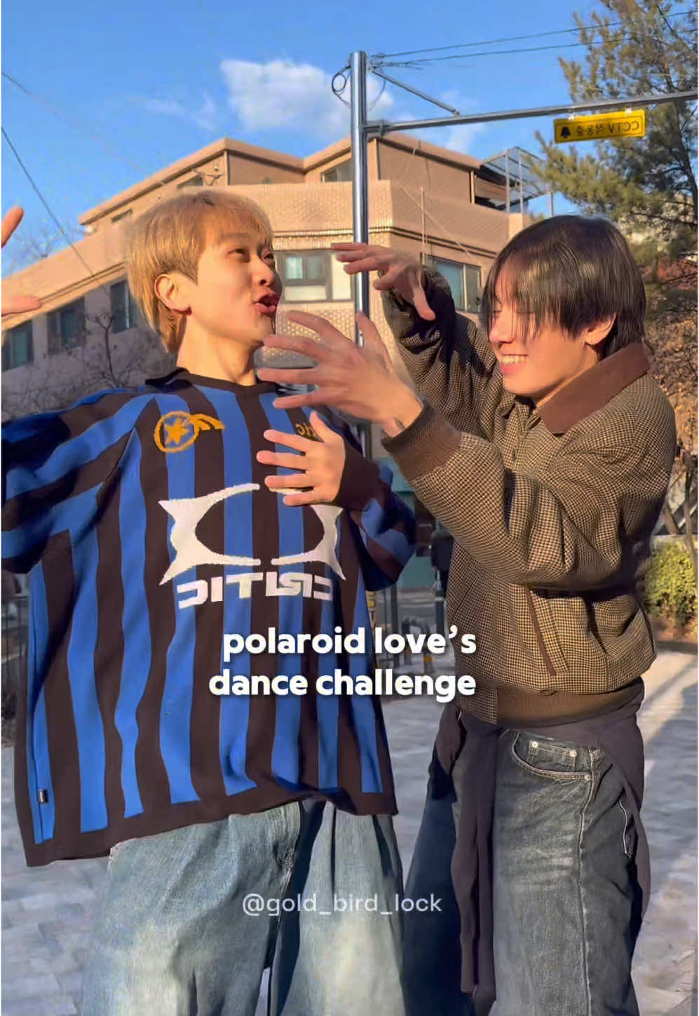 waiting for enhypen to join, it’s so cute !! dc - @황세훈 #enhypen #polaroidlove #dancechallege (credit to all @‘s in video) 