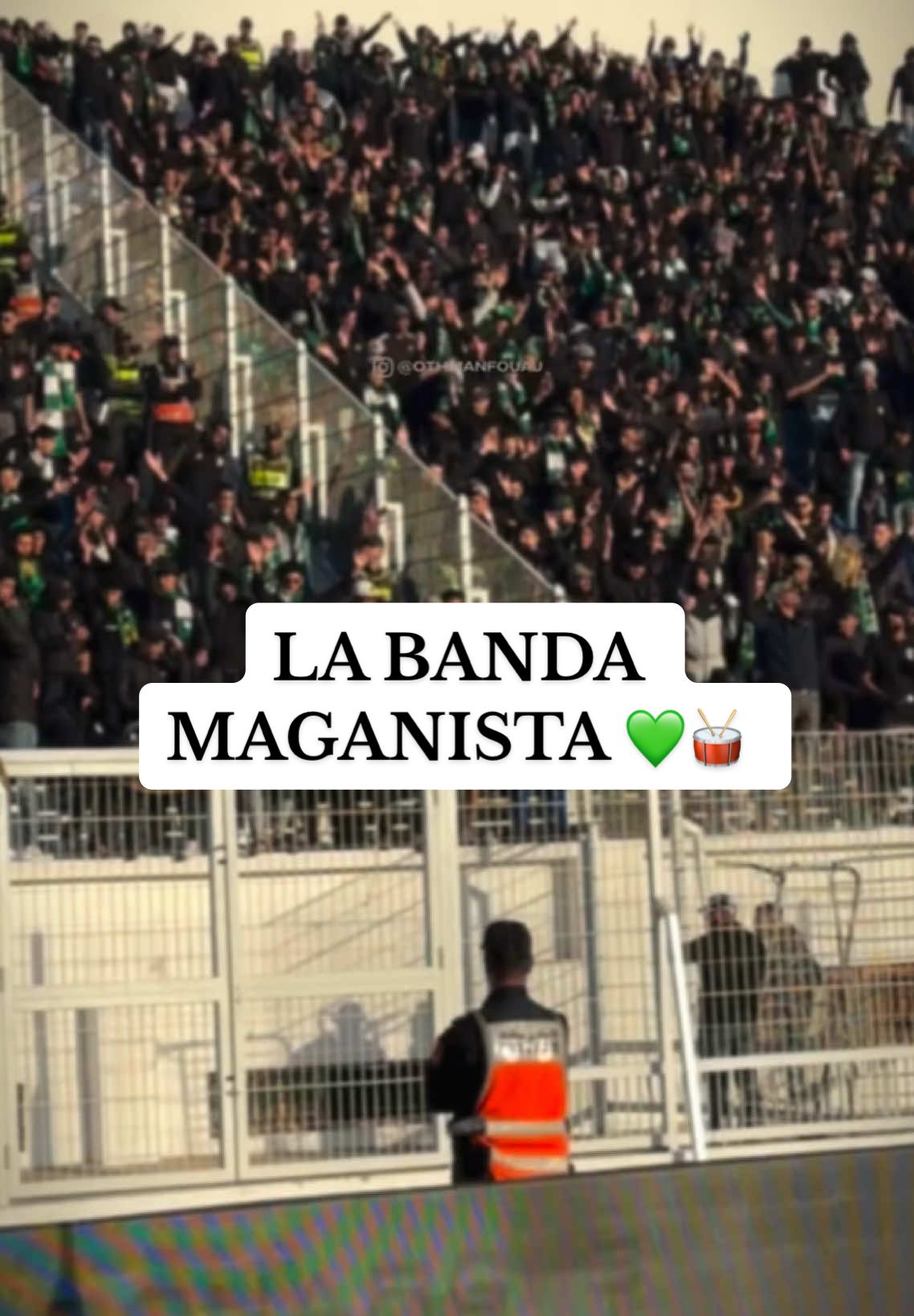 La banda Maganista 💚🥁 #rcaofficiel #rajacasablanca #labanda #curvasud 
