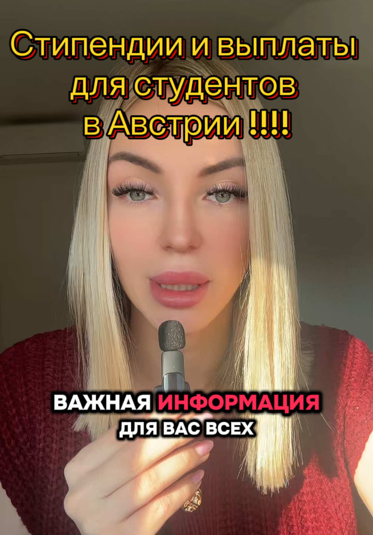 Важная информация про стипендии и дополнительные выплаты в Австрии ! #fy #student #студент #вена #австрия #обучение #стипендия #stipendium 