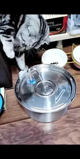 #Water filter #Pet drinking water #Healthy life #Family must-have #TikTok good thing recommendation