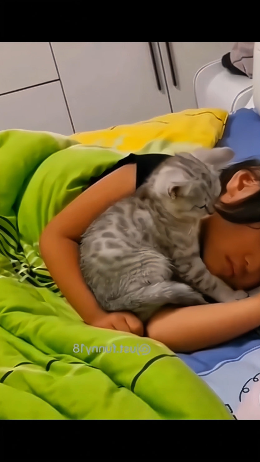 Cats like to sleep with babies🥰🐱😍 #funny #cat #fyp #catsoftiktok #funnycat #foryou #tiktok 