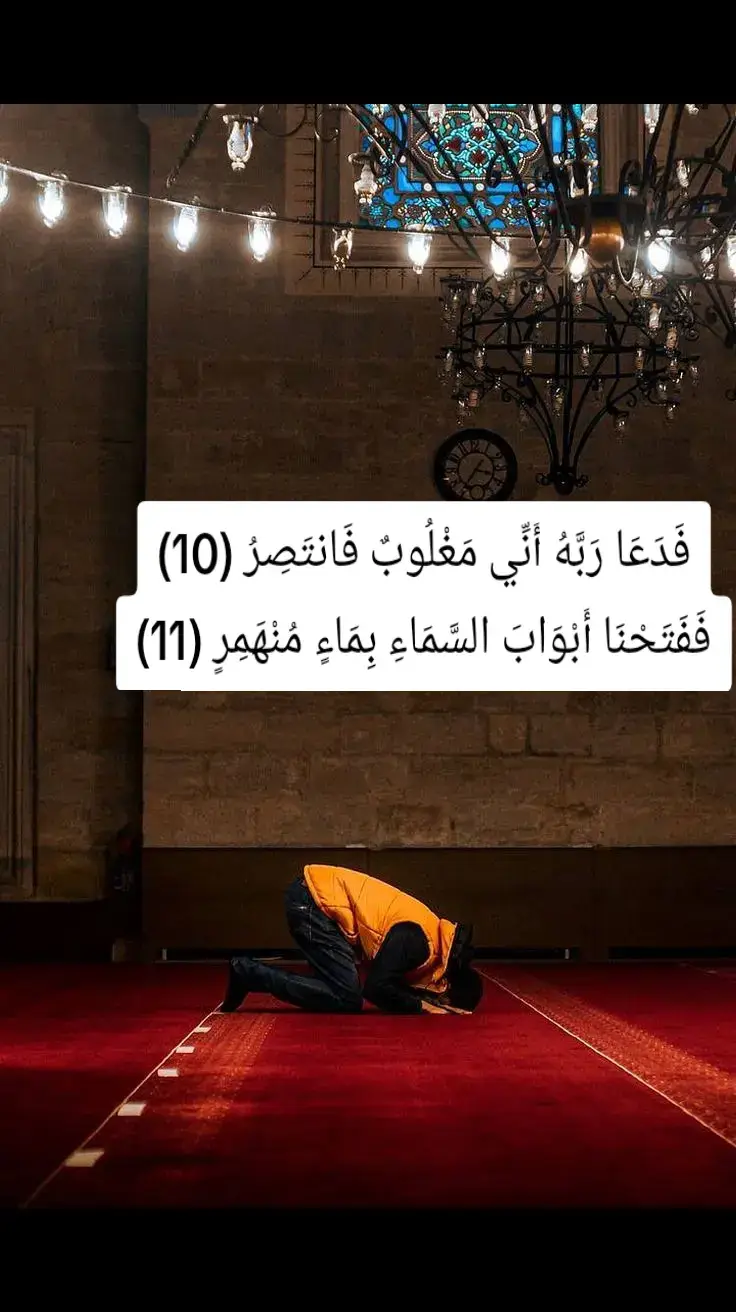 قرآن #قرآن #قرآن_كريم #القران_الكريم  #قرآن_بصوت_جميل  #قرآن_كريم_أرح_قلبك_وسمعك  #القران_الكريم_راحه_نفسية😍🕋  #قرآن_كريم_راحة_نفسية 