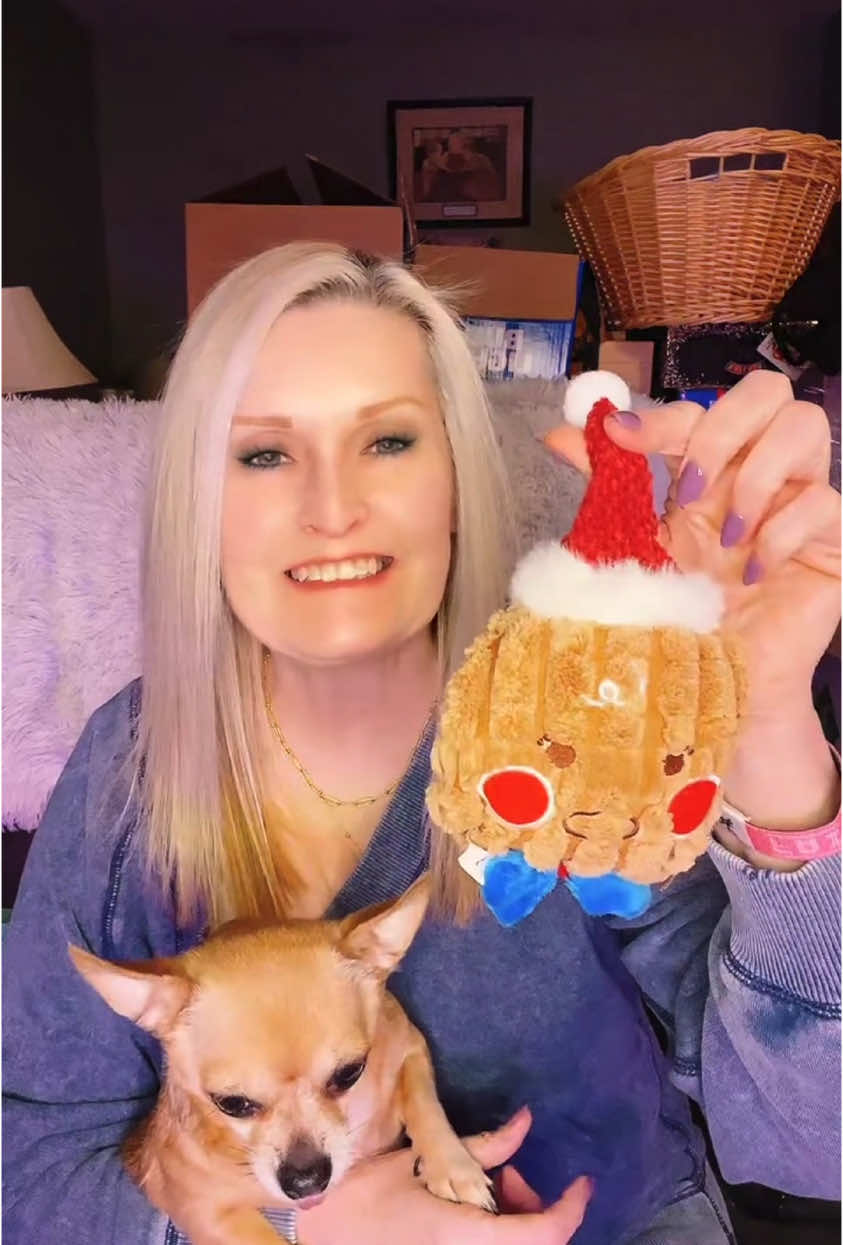 It’s unboxing day with our favorite toy company @nocciolatoys !  Such a cute holiday set of Christmas toys for Rosie.  #dog #chihuahua #dogmom #nocciola #nocciolatoys #holidaydogtoys @Nocciola_official @Nocciola Dog Toys @Nocciola Dog Toys 