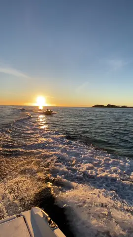 #annaba #algerie🇩🇿 #شعب_الصيني_ماله_حل😂😂  ✨✨💙🌞🐟🐟🐟🦑🦑