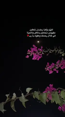 #اللهم اتنا في الدنيا حسنة وفي الآخرة حسنة وقنا عذاب النار🤲🌹🌹🌹🌹🕊️🕊️
