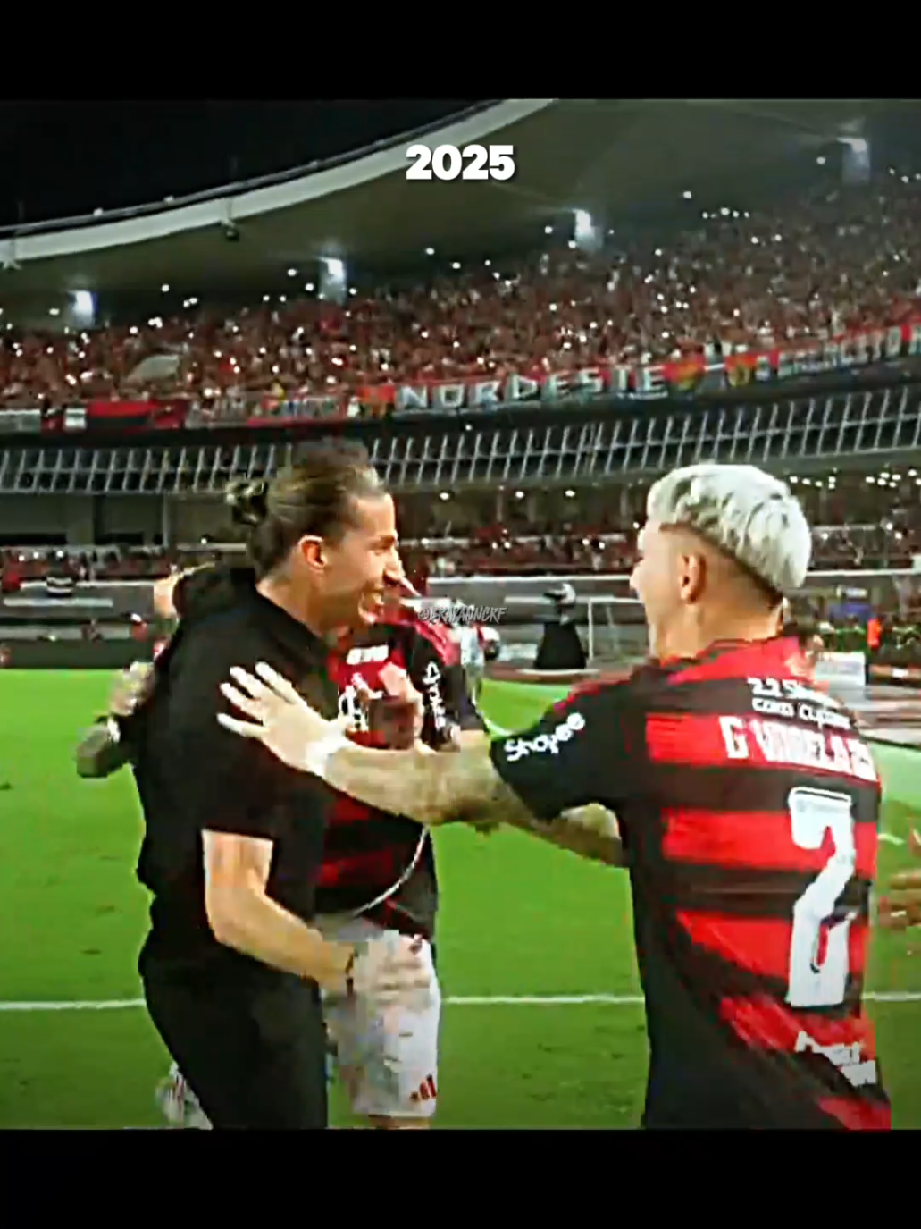 ELE SONHOU E ESTÁ REALIZANDO! AINDA IREMOS EM BUSCA DE MAIS ESSE ANO!🤩🔥 #flamengo #filipeluis #copadobrasil2024 #supercopadobrasil #edit #futebol #fyp 