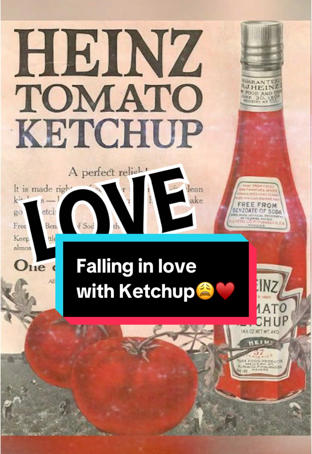 A love to last a lifetime🥺👉👈 What’s your fave Heinz era, ours is every single one xoxoxo #ketchup #epic #epicmusical #Love #heinz #epicthemusical 