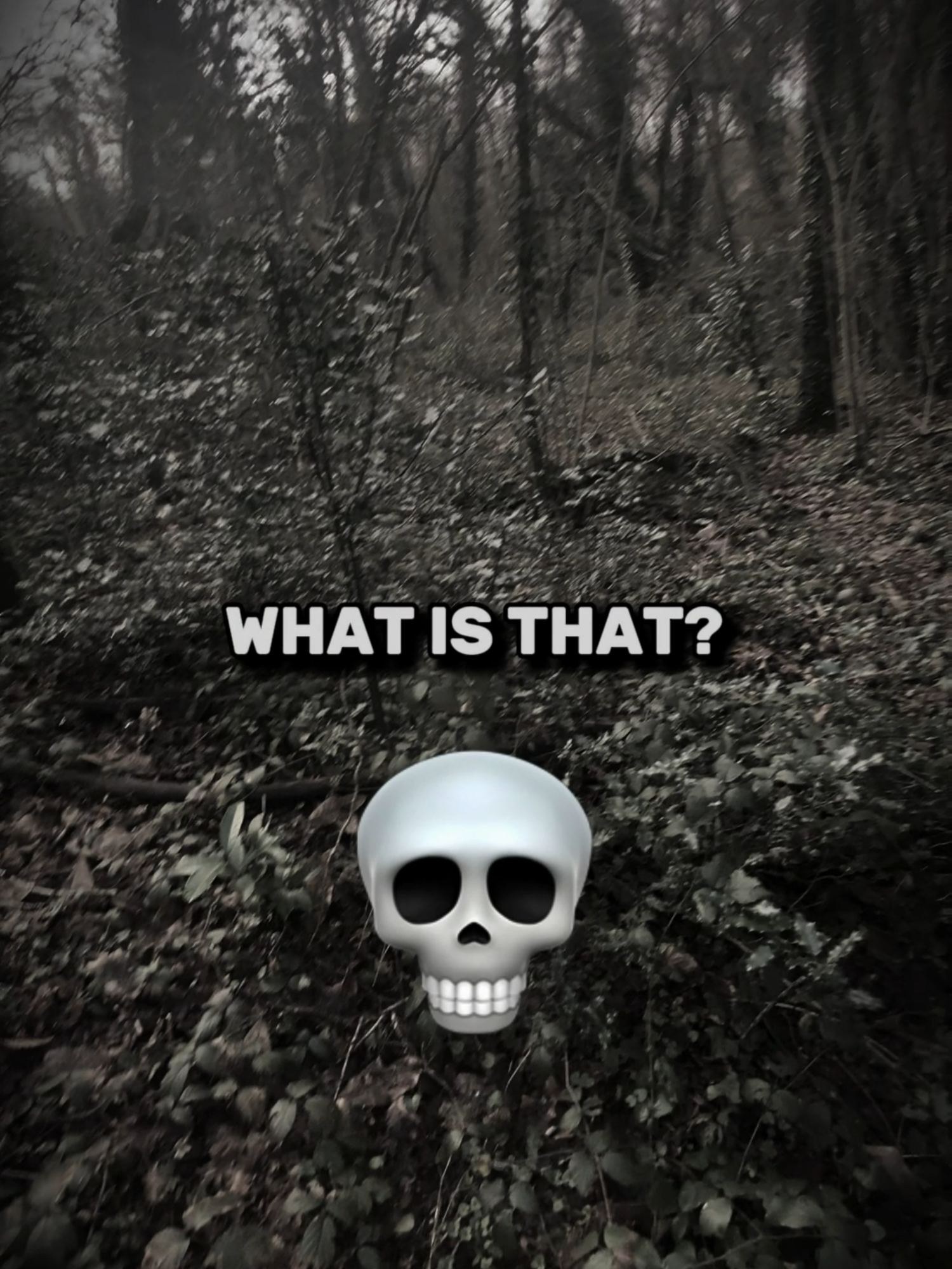 did you see it? 👀 #scary #scaryvideos #caughtoncamera #horrortok #skinwalker #wendigo #viral_video #creepytok #usa_tiktok