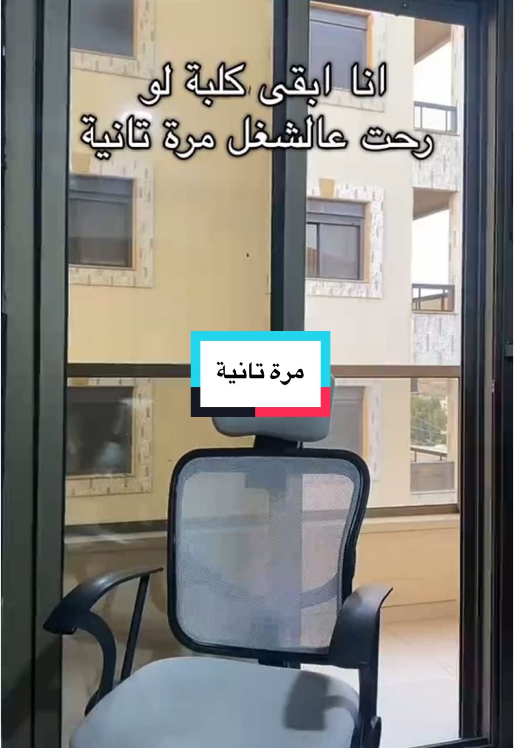 انا ابقى كلبة لو رحت عالشغل مرة تانية 