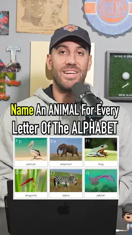 Name An ANIMAL For EVERY LETTER A-Z! #fyp #animal #guessinggame #alphabet #funny #playalong 