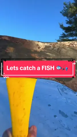 I Tried to Catch a Fish 🐟🎣 #fishing #fishingvideos #capcut #bassfishing 