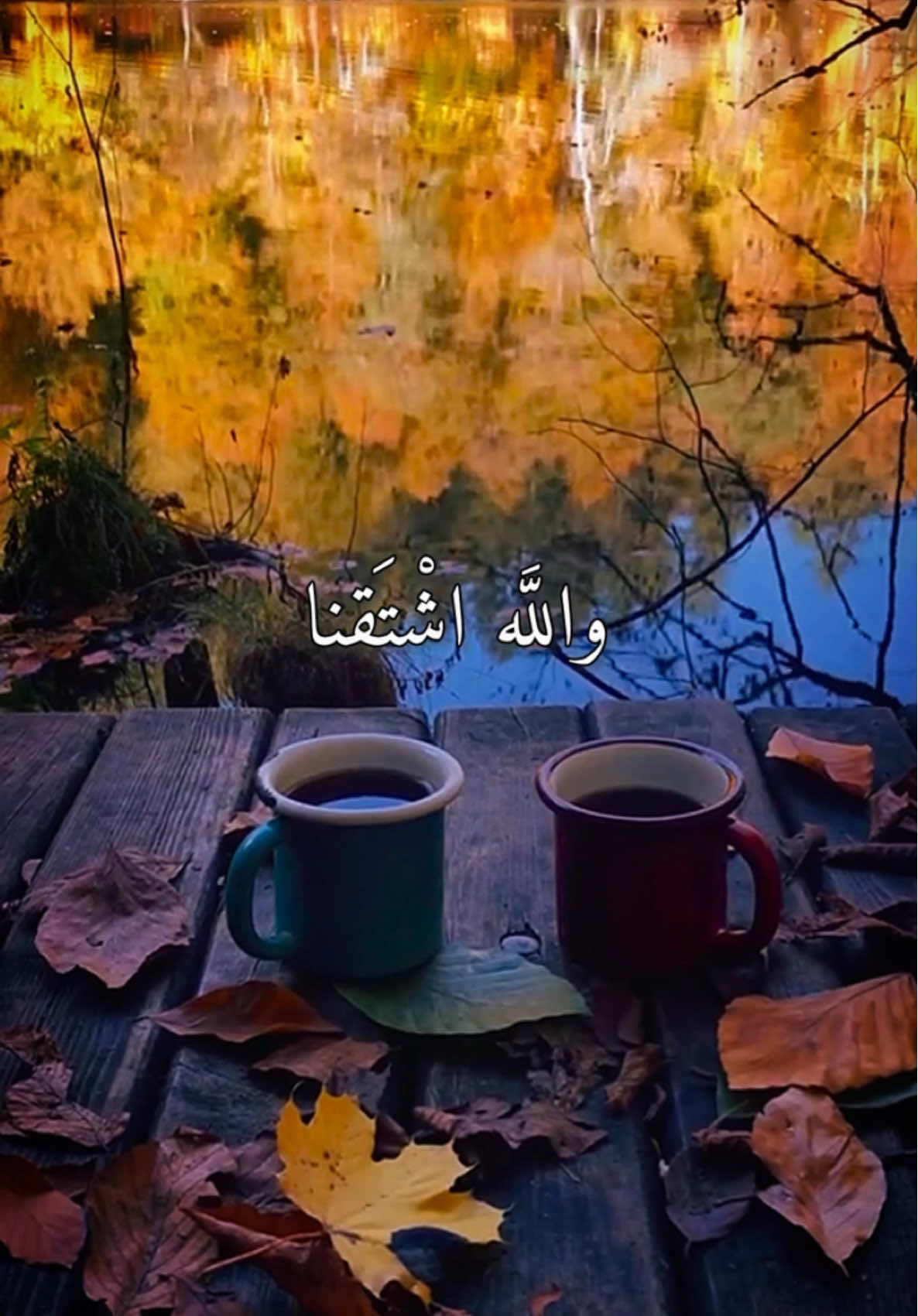 حبيبي يا عيني -مايا يزبك 🥰🎼 #fyp #foryourepage #viral_video #tiktok #اغاني #songs #musica #عيد_الحب #عيد_العشاق #songs #santos #مايا_يزبك #dubaibling #سماحة_العشق 