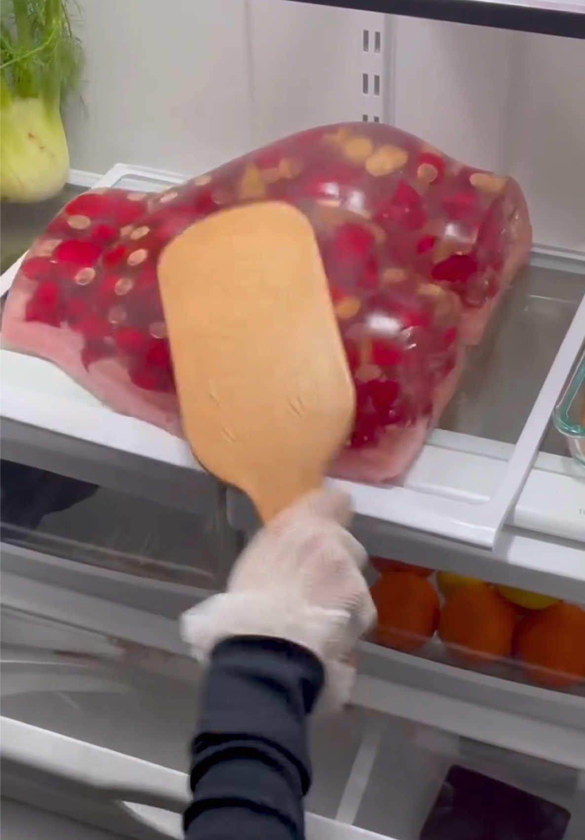 Jelly Jiggler #humor #laugh #lol 