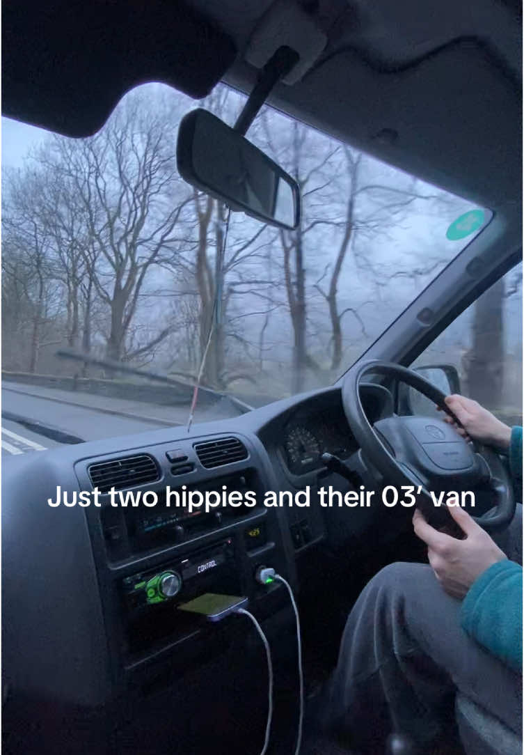 A recent escape in the van  #vanlife #hippies 