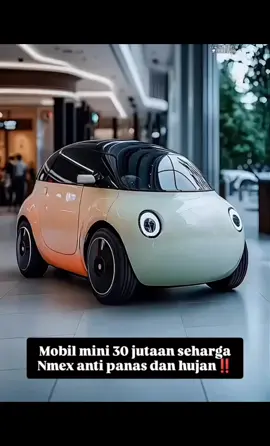 #indonesia🇮🇩 #ocnj #usa#car #electriccar #nj #ocnj #car #smallcar #fyp #fpy 