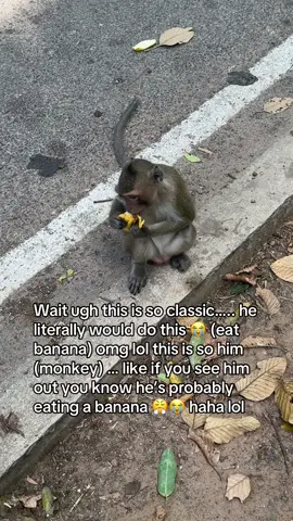 Ran into monkey … eating a banana sounds about right…. He  would be doing that! 🐒 haha all love 