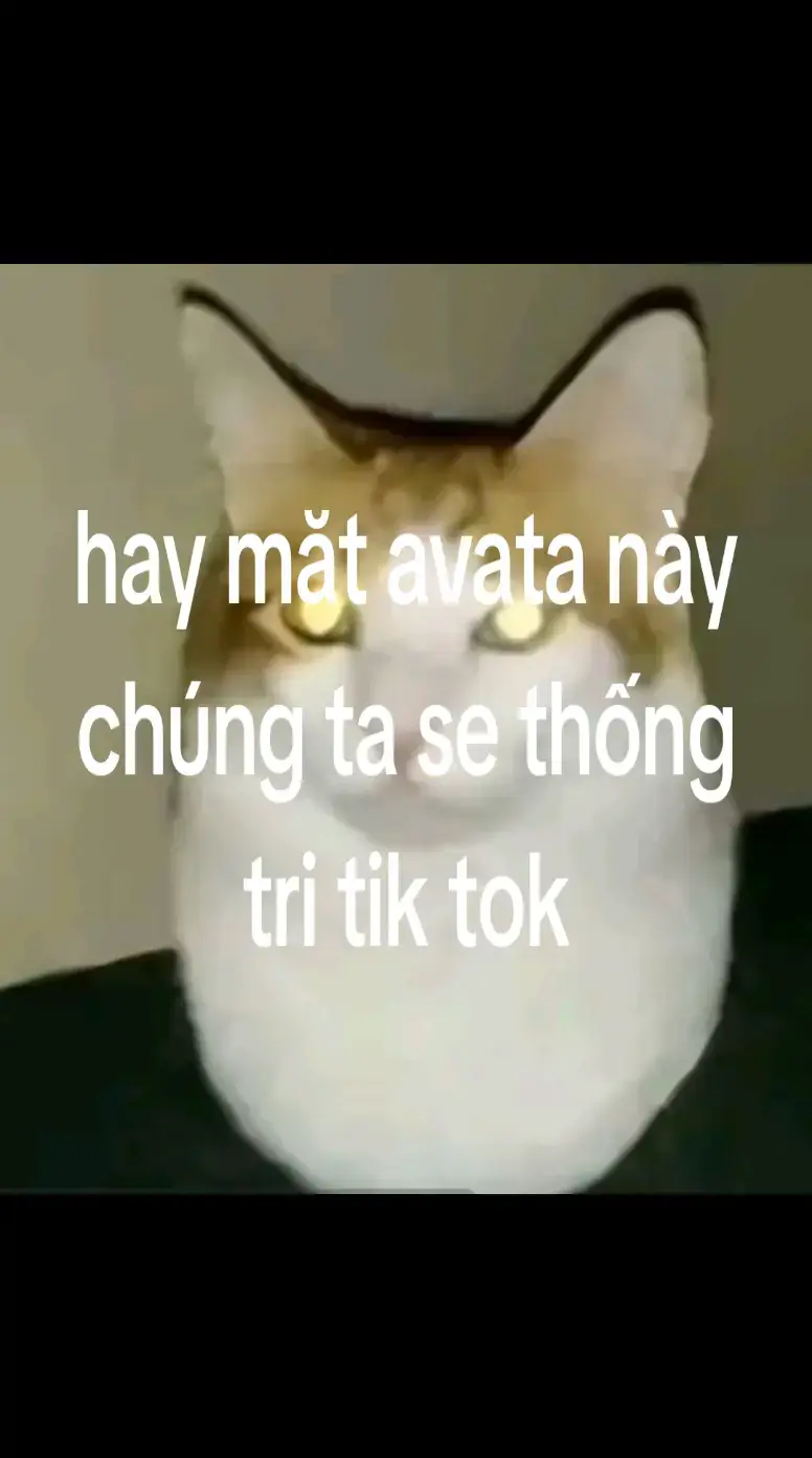 phuoc_ _