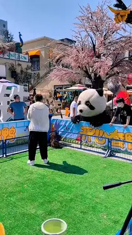 #funnyvideos #funny #funnyanimals #comedyvideo #comdy #lucu #fy #fypシ #foryou #xuhuong 
