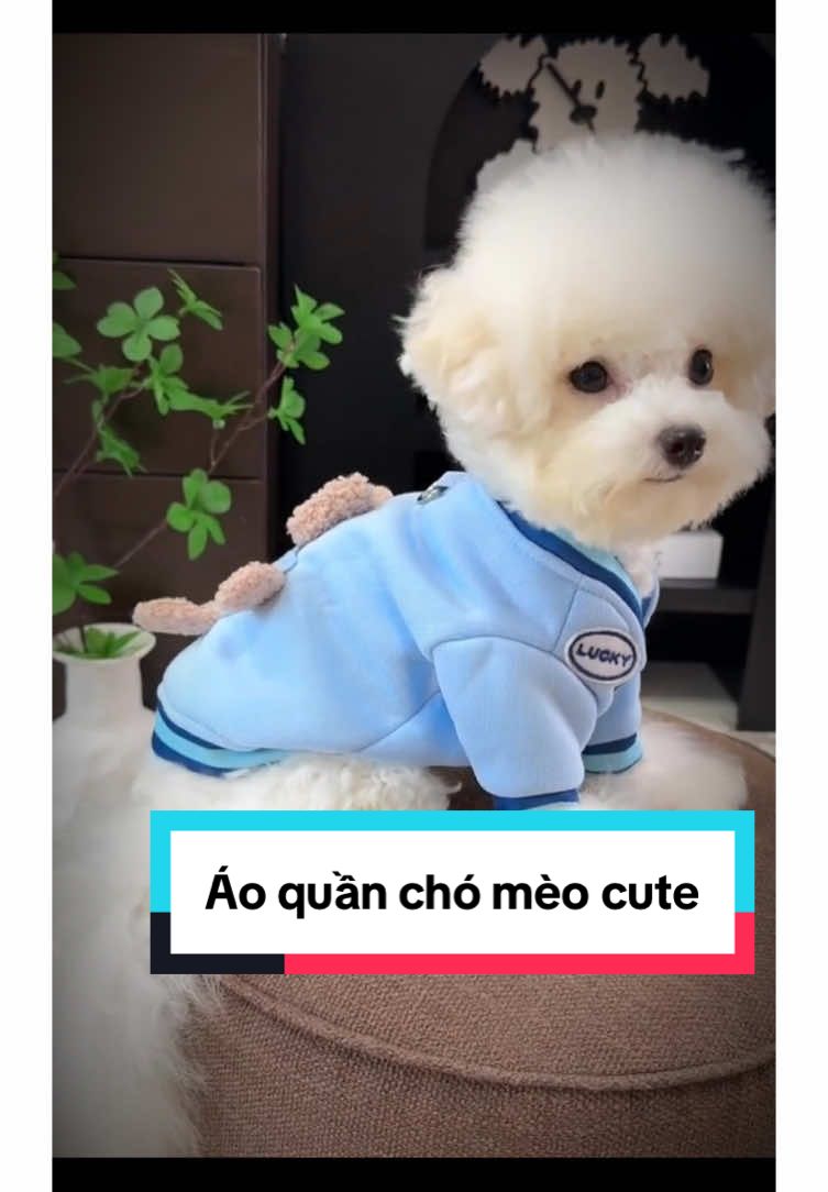 Quần áo cho chó mèo #aoquanchomeodethuong #aoquanchomeo #yeuchomeo #chamsocthucung #viral #viral  @Happy.Pets  @Happy.Pets  @Happy.Pets 