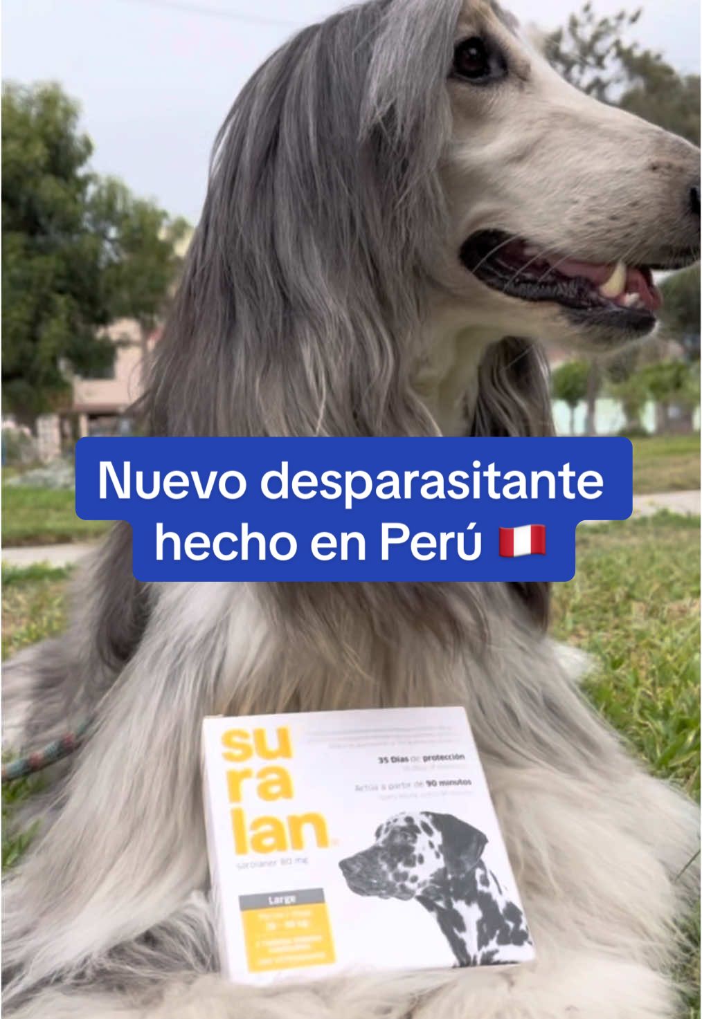 #desparasitante #perritos #doglovers #peru #antipulgas #pulgas #suralan #productosparamascotas #petshop 