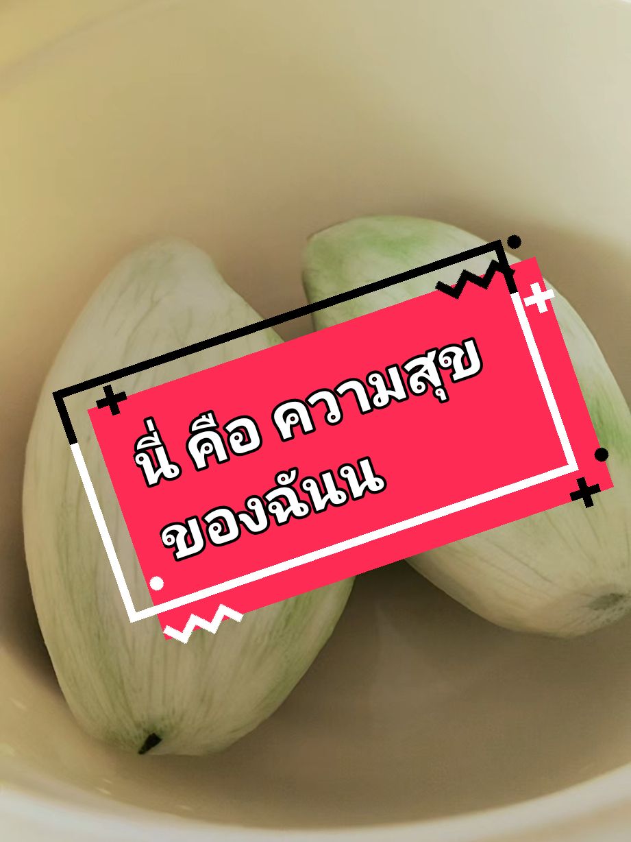 🌻 นี่คือความสุขของฉัน #บันทึกการเดินทาง  #CapCut  #คู่ชีวิต 