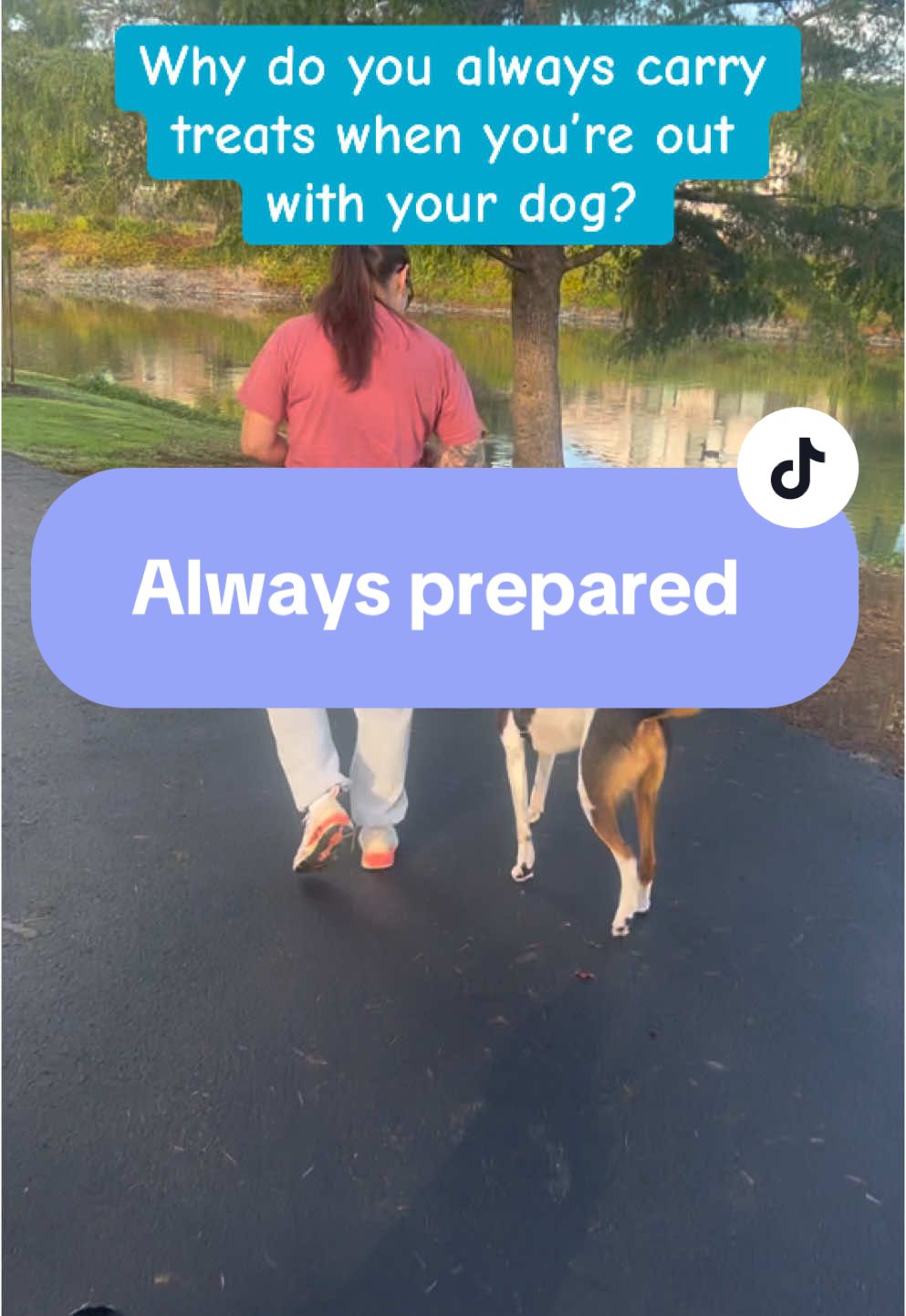 Why do I always carry treats when I’m out with my dog? 🤔 Because you never know when you’ll need them! 🐶💥 Stay prepared for distractions, surprises, and training moments. 🎒✨ #DogTraining #LooseLeashWalking #AlwaysBePrepared #DogGear #AkraCreations #TreatBag #DogWalking #TrainingTools