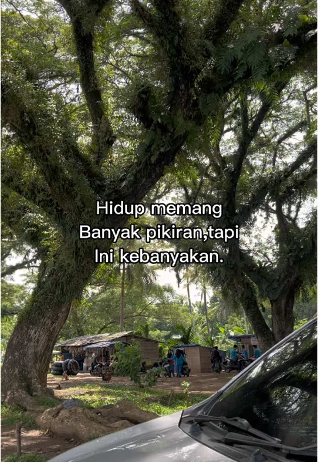 Nikmat Hidup Mana Lagi Yang Belum di Rasakan🌱 #fyp #wisata #viralvideo 