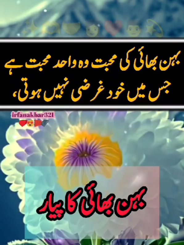 anmol baten Behan Bhai ka rishta#islamic_video #urdupoetry #learnwithtiktok #video #viral #trending #tiktok #foryoupage #foryou #fypシ゚viral #motivation #sad #irfanakbar321 