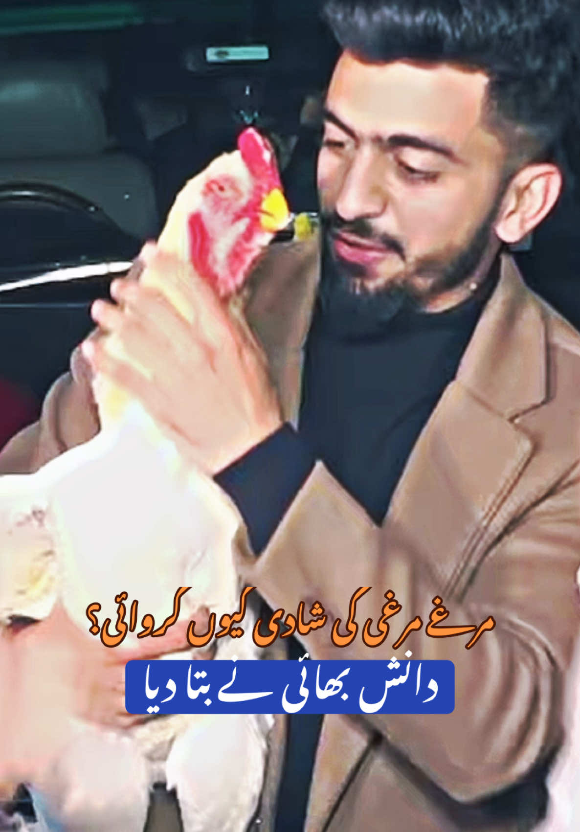 مرغے مرغی کی شادی کیوں کروائی؟ #GFBShamoshow2025 #viral #foryou #foryoupage #pakistaniaseel #murghe #kingshamo #viralvideos #tiktok #viralvideo #challenge #shamo #aseel #aseellovers #danisharif #ghausiafancybirds #ghausiashamoland