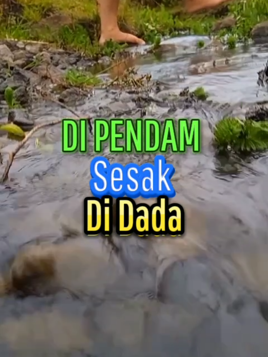 di pendam sesak di dada #fyp #tiktokviral #quotes #katamotivasi #katabijakkehidupan #inspirasi 