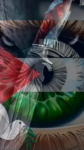 #غزه