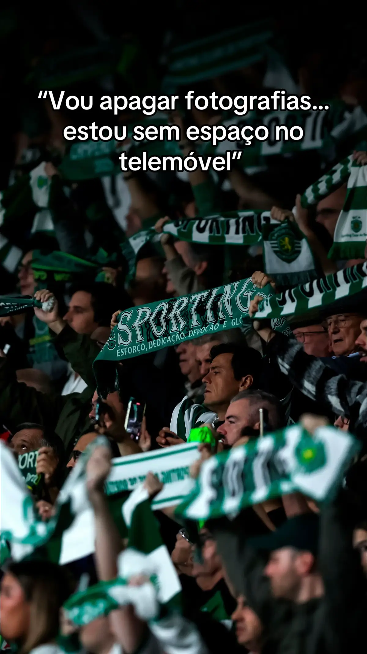 E que fotografias… 🥹💚 #SportingCP #CristianoRonaldo #CR7 #tiktokdesporto 