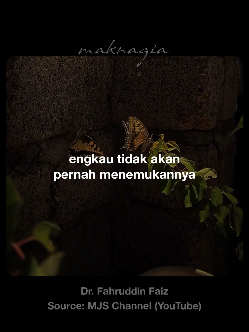 Engkau tidak akan pernah menemukannya. #fahruddinfaiz #cinta #foryou #fyp #foryoupage 