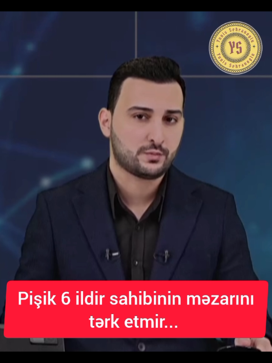 6 ildir ki, sahibinin məzarının üstündə yaşayan pişik indi isə... #vəfalıpişik #qəribəhadisələr #maxaçkala #gündəm #bakutvxeber #yunissehranoglu #yunissehranoğlu #kesfet #kəşfet #keşfet #fypシ #kesfetteyiz #Love 