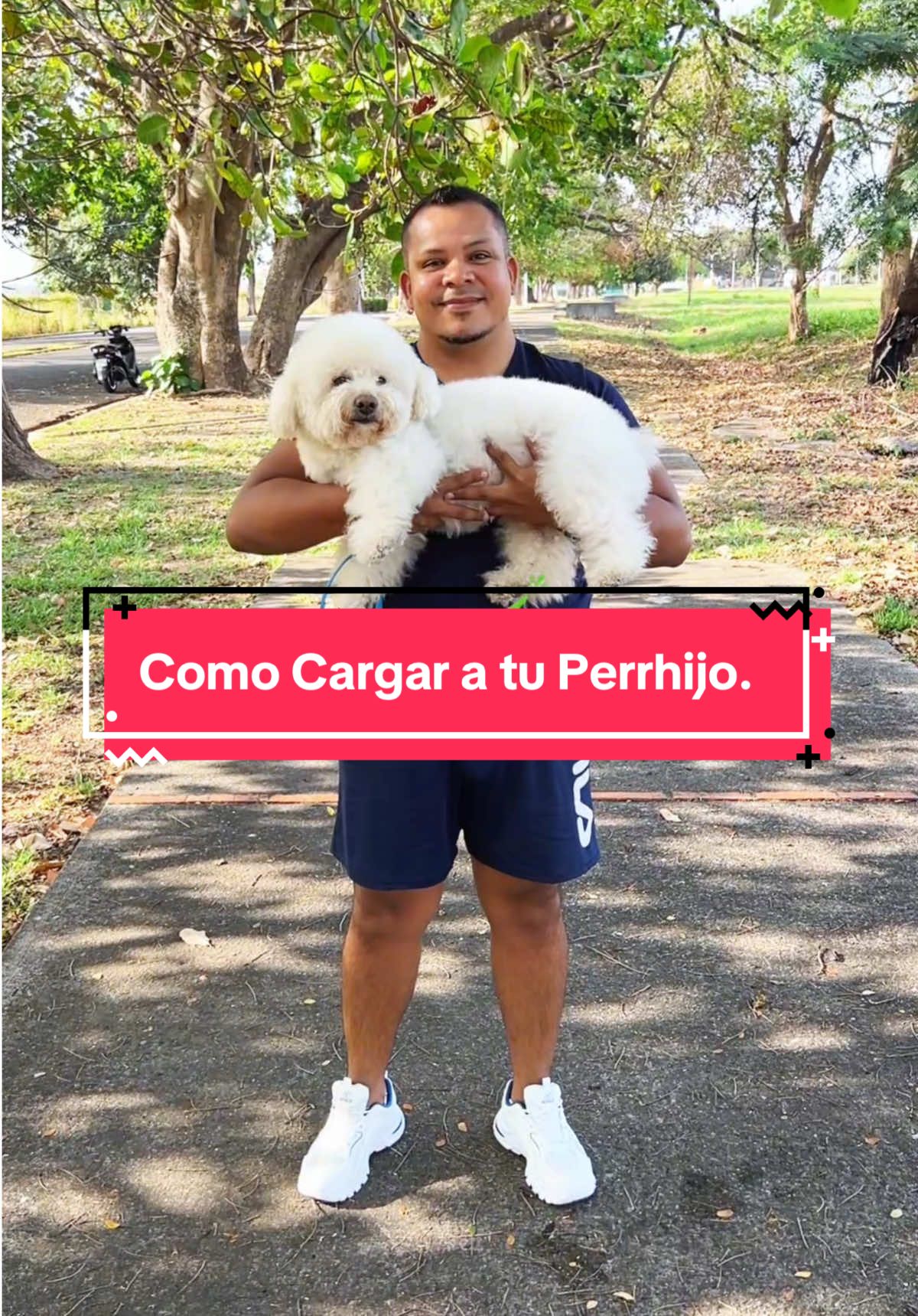 Aprende a cargar a tu perro correctamente  #guanare #peluqeriacanina #guanareportuguesa #cargaratuperro #correctamente 