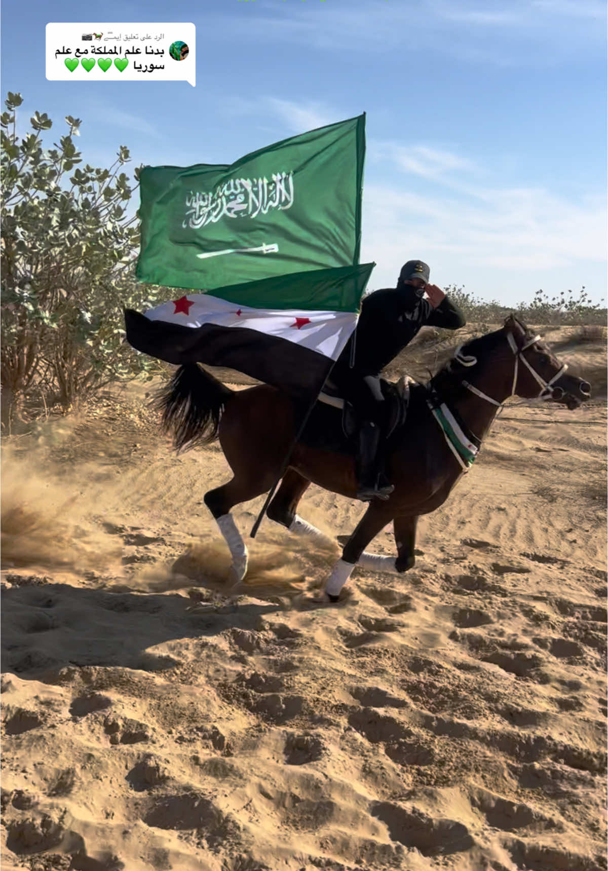 الرد على @إيمـْـْْـْﮯ🐎📷 لعيون الشعب والملك السعودي ✌️💚🇸🇦#سوري_ولي_الفخر #احرار_سوريا #هذا_السعودي_فوق_فوق💚🇸🇦💚 #فهد_بن_فصلا_جديد #ترند #تحرير_سوريا #سوريا #ترندات_تيك_توك #دبي #السعودية #قطر #الكويت #خيل #خيل_عربي #خيول_عربية #خيل_وخياله🐎 #اكسبلور_explore #اكسبلور 