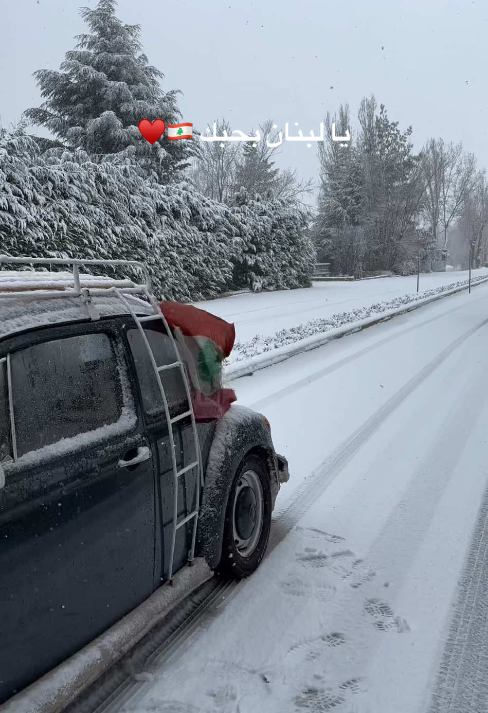 يا #لبنان بحبك ✨🇱🇧♥️ #WeAreLebanon #Lebanon #fairouz #snow #kfardebian #faraya @Jonathan Germanos 