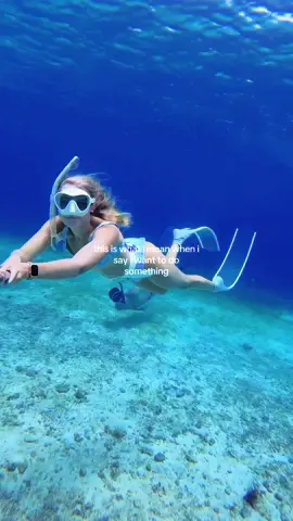 my kind of plans 🏝️🌊👙☀️🐬 #ocean #oceangirl #florida #floridakeys #travelblogger #freedivinggirl 