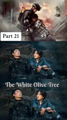 The White Olive Tree Part 21 #thewhiteolivetree  #chenzheyuan  #liangjie  #lizan  #songran  #drachin2025 