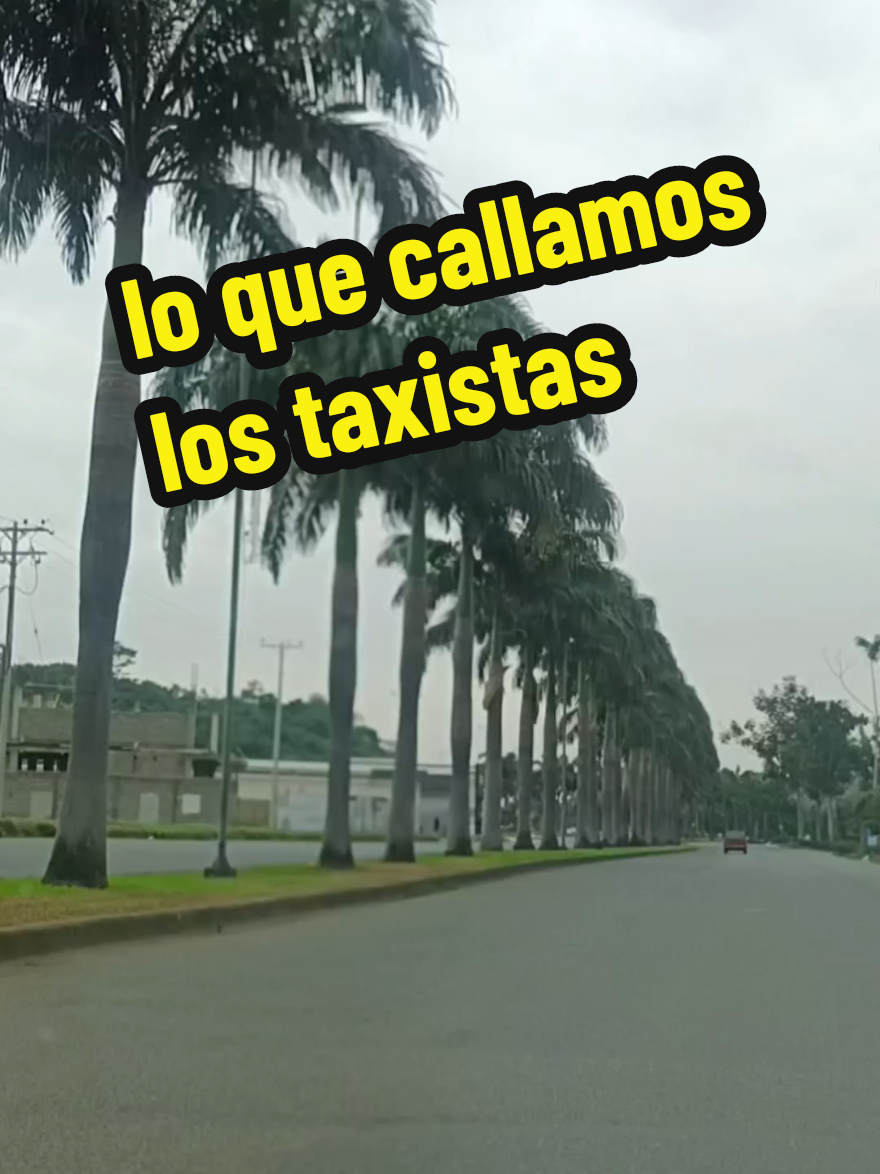 #CapCut #poesiaecuatoriana #loquecallamoslostaxistas #taxistas #conductores  #clientesdificiles #viajando #parecechiste #humor #comedia #ecuador @Luis Alfredo Buestan @fugitivxxx 